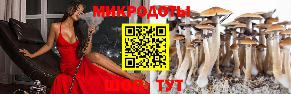 Галлюциногенные грибы GOLDEN TEACHER Малгобек